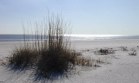 charleston sc beach real estate and coastal waterways, Intracoastal deepwater lots and land for sale in charleston south carolina.